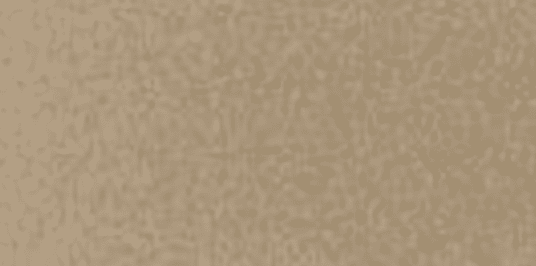 CHAMPAGNE METALLIC