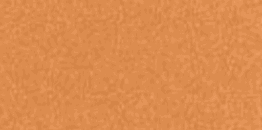 Copper Penny