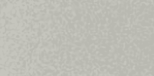 Silver Metallic